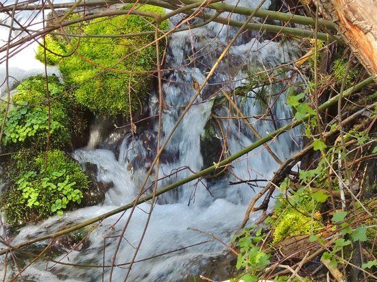Mount Shasta City Park